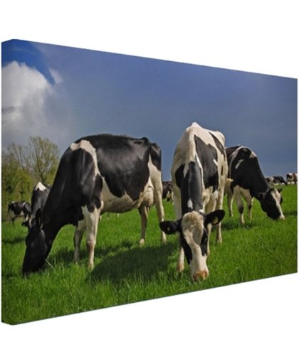 Kudde grazende koeien Canvas 180x120 cm - Foto print op Canvas schilderij (Wanddecoratie)