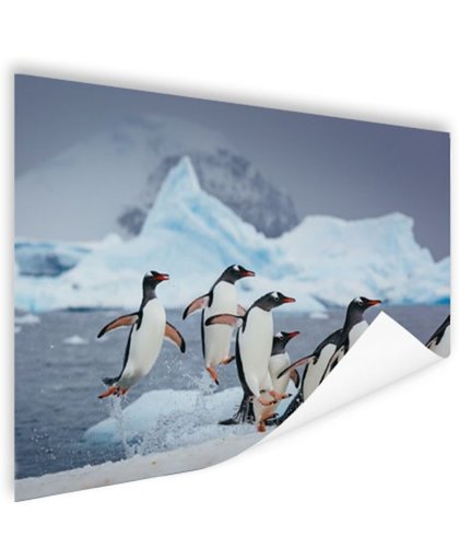 FotoCadeau.nl - Pinguins springen uit het water Poster 60x40 cm - Foto print op Poster (wanddecoratie)