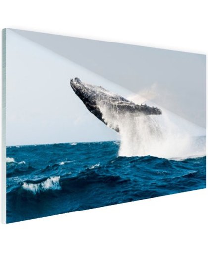 FotoCadeau.nl - Walvis springt achterover in blauw water Glas 120x80 cm - Foto print op Glas (Plexiglas wanddecoratie)