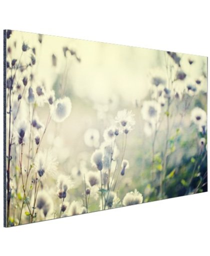 Witte bloemen in veld Aluminium 180x120 cm - Foto print op Aluminium (metaal wanddecoratie)