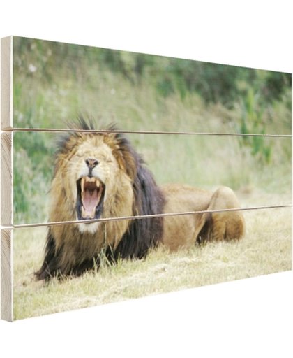 FotoCadeau.nl - Stoere leeuw Hout 60x40 cm - Foto print op Hout (Wanddecoratie)
