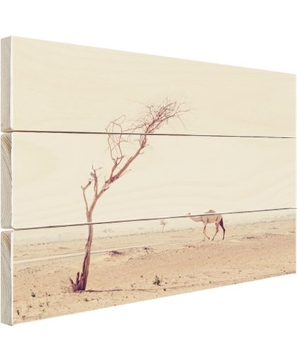 FotoCadeau.nl - Kameel wandelt over woestijnweg in Dubai Hout 30x20 cm - Foto print op Hout (Wanddecoratie)