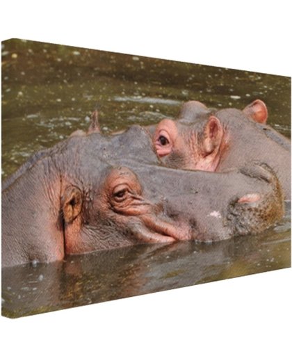 FotoCadeau.nl - Nijlpaarden naast elkaar Canvas 30x20 cm - Foto print op Canvas schilderij (Wanddecoratie)