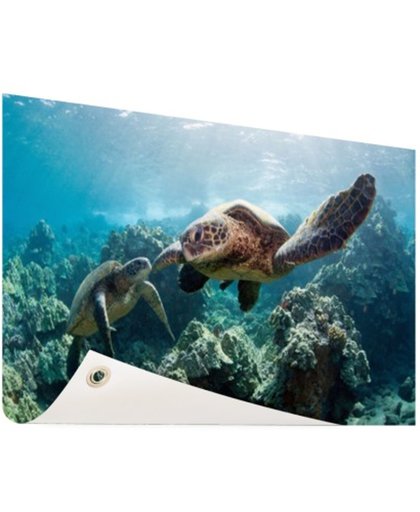 FotoCadeau.nl - Twee zeeschildpadden Tuinposter 60x40 cm - Foto op Tuinposter (tuin decoratie)