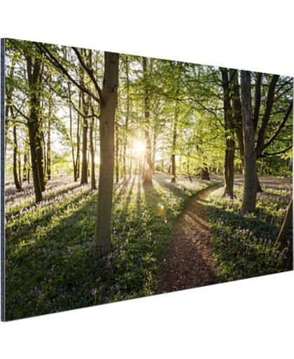 FotoCadeau.nl - Een bospad op een zonnige dag Aluminium 30x20 cm - Foto print op Aluminium (metaal wanddecoratie)