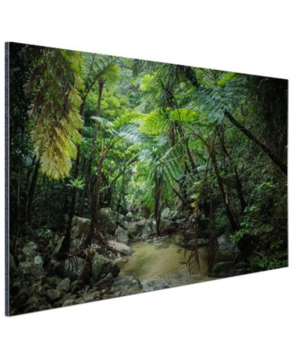 FotoCadeau.nl - Riviertje in tropische jungle Aluminium 90x60 cm - Foto print op Aluminium (metaal wanddecoratie)