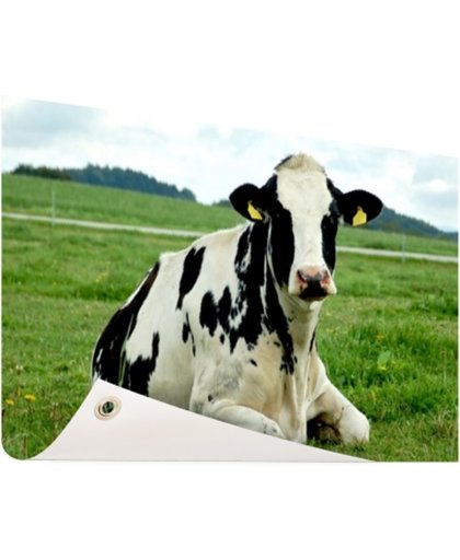 FotoCadeau.nl - Rustende Holsteinkoe Tuinposter 60x40 cm - Foto op Tuinposter (tuin decoratie)