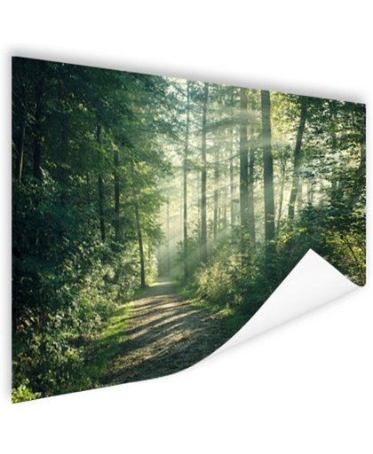 FotoCadeau.nl - Zonnige oktobermorgen in het bos Poster 180x120 cm - Foto print op Poster (wanddecoratie)