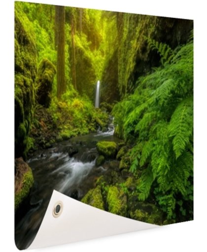 FotoCadeau.nl - Prachtig plaatje jungle Tuinposter 120x80 cm - Foto op Tuinposter (tuin decoratie)