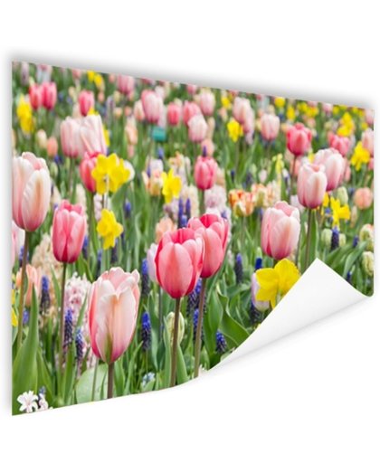 FotoCadeau.nl - Tulp tuin Poster 60x40 cm - Foto print op Poster (wanddecoratie)
