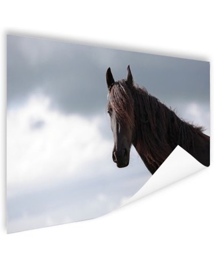 FotoCadeau.nl - Bruin paard  Poster 90x60 cm - Foto print op Poster (wanddecoratie)