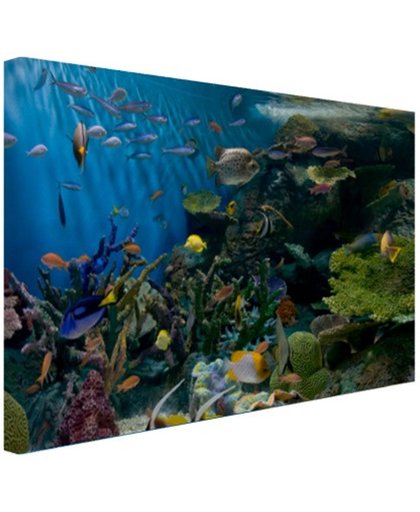 Levendige onderwaterwereld Canvas 180x120 cm - Foto print op Canvas schilderij (Wanddecoratie)