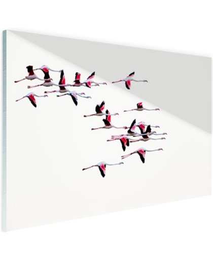 FotoCadeau.nl - Vliegende flamingos Glas 30x20 cm - Foto print op Glas (Plexiglas wanddecoratie)