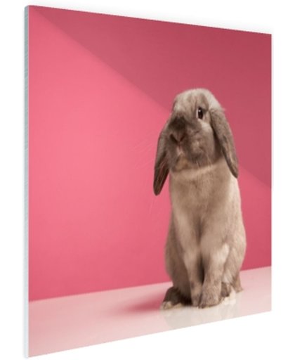 FotoCadeau.nl - Konijnen voor roze muur Glas 90x60 cm - Foto print op Glas (Plexiglas wanddecoratie)