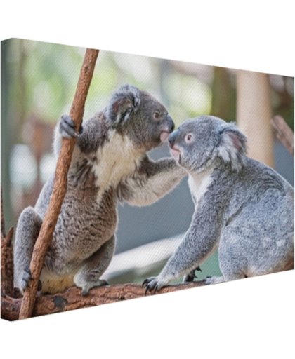 FotoCadeau.nl - Twee koalaberen op tak Canvas 30x20 cm - Foto print op Canvas schilderij (Wanddecoratie)
