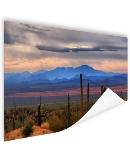 FotoCadeau.nl - Sonoran woestijn Mexico Poster 120x80 cm - Foto print op Poster (wanddecoratie)