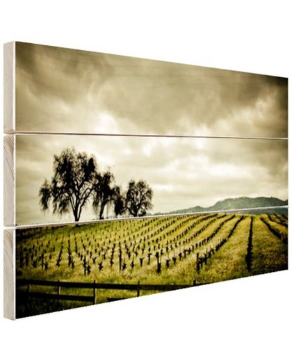 FotoCadeau.nl - Vroege wijngaarden in de Napa Valley Hout 60x40 cm - Foto print op Hout (Wanddecoratie)