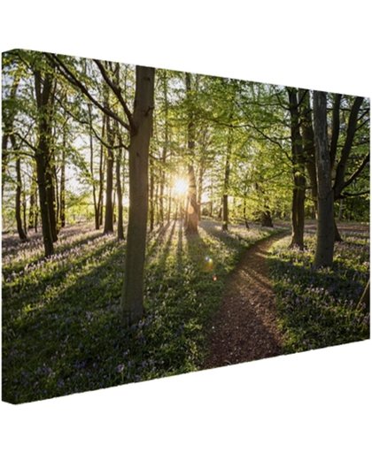 FotoCadeau.nl - Een bospad op een zonnige dag Canvas 30x20 cm - Foto print op Canvas schilderij (Wanddecoratie)