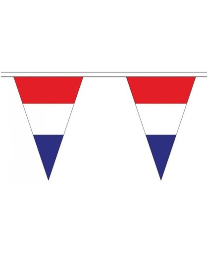 Nederland landen punt vlaggetjes 20 meter - slinger / vlaggenlijn