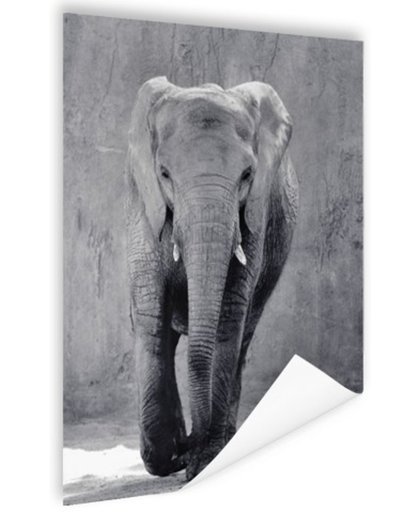 FotoCadeau.nl - Olifant zwart-wit gecentreerd Poster 80x120 cm - Foto print op Poster (wanddecoratie)