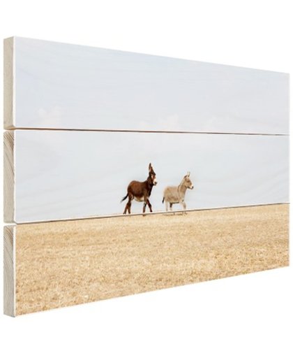 FotoCadeau.nl - Rennende ezels Hout 80x60 cm - Foto print op Hout (Wanddecoratie)
