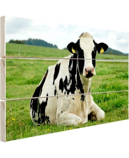 FotoCadeau.nl - Rustende Holsteinkoe Hout 60x40 cm - Foto print op Hout (Wanddecoratie)