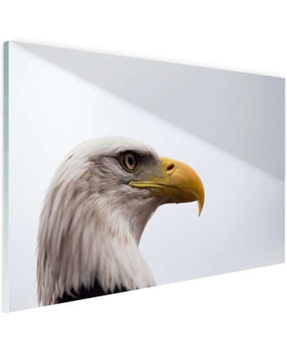 FotoCadeau.nl - Portretfoto adelaar Glas 60x40 cm - Foto print op Glas (Plexiglas wanddecoratie)