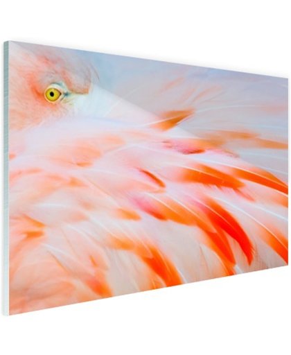 FotoCadeau.nl - Zachtroze flamingo veren Glas 60x40 cm - Foto print op Glas (Plexiglas wanddecoratie)