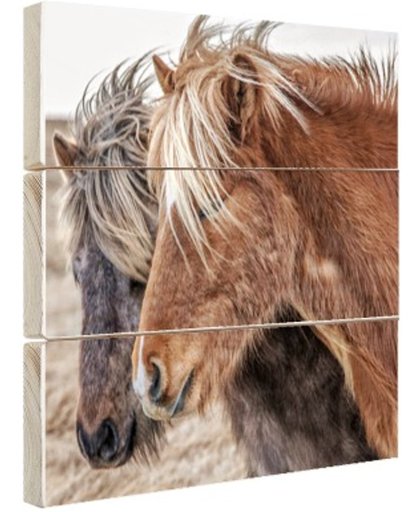 FotoCadeau.nl - IJslandse paarden Hout 20x20 cm - Foto print op Hout (Wanddecoratie)
