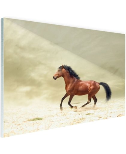 FotoCadeau.nl - Galopperend paard Glas 90x60 cm - Foto print op Glas (Plexiglas wanddecoratie)