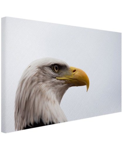 FotoCadeau.nl - Portretfoto adelaar Canvas 120x80 cm - Foto print op Canvas schilderij (Wanddecoratie)