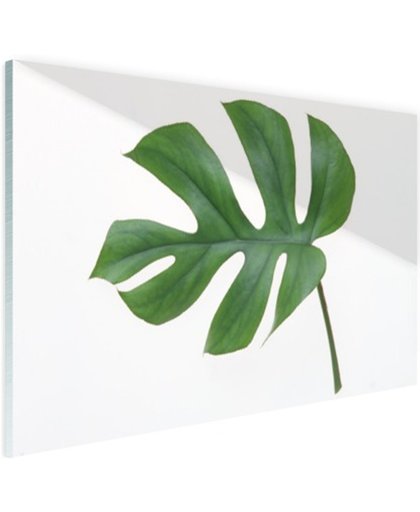 Botanische print blad Glas 180x120 cm - Foto print op Glas (Plexiglas wanddecoratie)