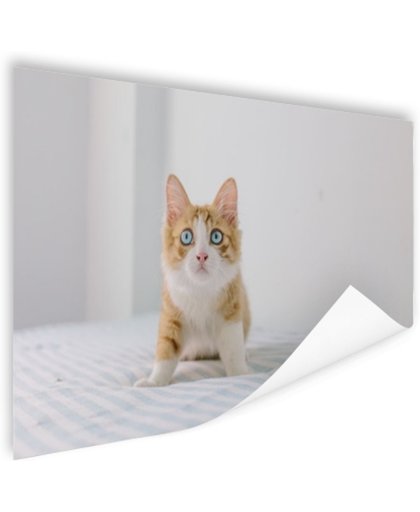 FotoCadeau.nl - Schattige kitten Poster 60x40 cm - Foto print op Poster (wanddecoratie)