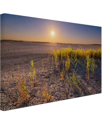 FotoCadeau.nl - Droge woestijn met plantjes  Canvas 80x60 cm - Foto print op Canvas schilderij (Wanddecoratie)