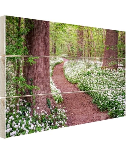 FotoCadeau.nl - Pad in een bos met wilde knoflook Hout 120x80 cm - Foto print op Hout (Wanddecoratie)