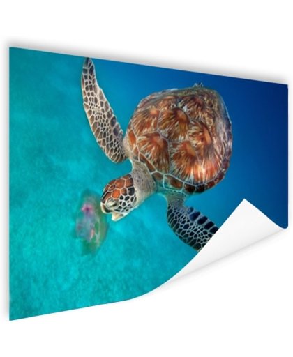 FotoCadeau.nl - Groene schildpad met kwal Poster 90x60 cm - Foto print op Poster (wanddecoratie)