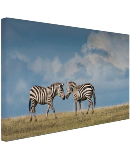 FotoCadeau.nl - Verliefde zebras fotoafdruk Canvas 80x60 cm - Foto print op Canvas schilderij (Wanddecoratie)