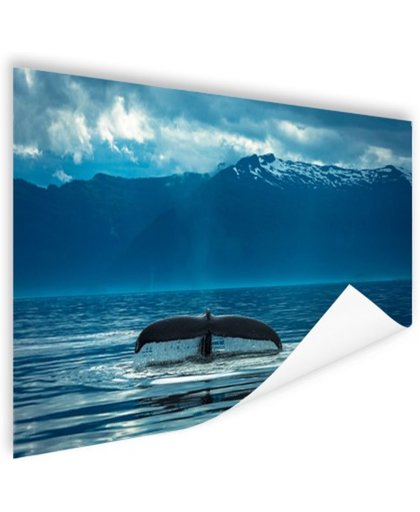 FotoCadeau.nl - Staart van een grote bultrug walvis Poster 60x40 cm - Foto print op Poster (wanddecoratie)