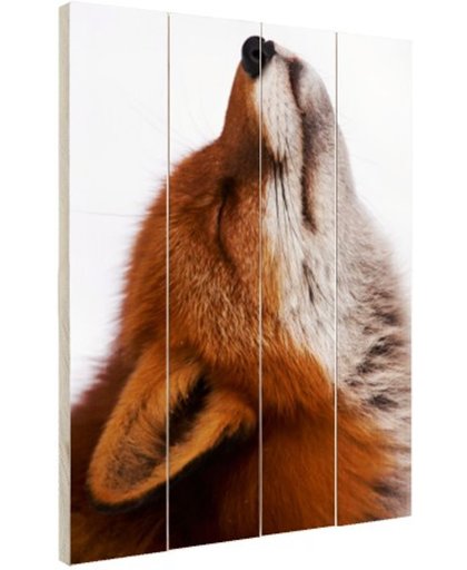 Vos met neus omhoog Hout 120x160 cm - Foto print op Hout (Wanddecoratie)
