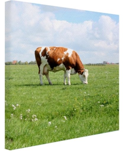 FotoCadeau.nl - Bruin-witte koe in de wei Canvas 100x100 cm - Foto print op Canvas schilderij (Wanddecoratie)