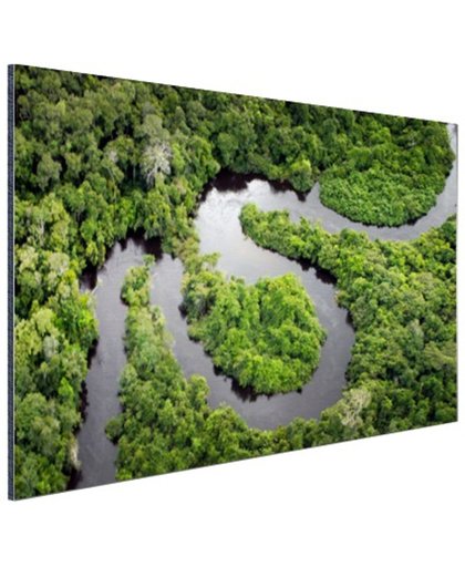 Regenwoud en Amazone Brazilie Aluminium 180x120 cm - Foto print op Aluminium (metaal wanddecoratie)