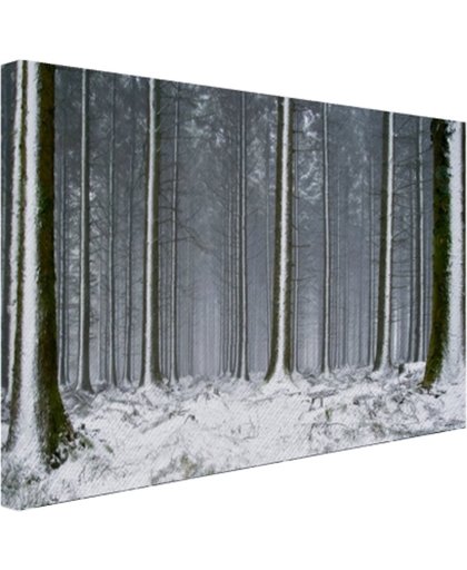 FotoCadeau.nl - Besneeuwde bomen in de winter Canvas 30x20 cm - Foto print op Canvas schilderij (Wanddecoratie)