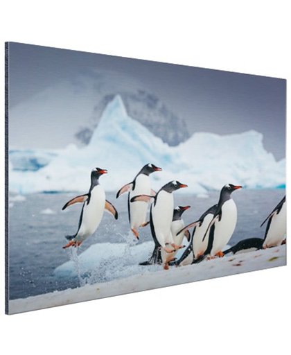 FotoCadeau.nl - Pinguins springen uit het water Aluminium 90x60 cm - Foto print op Aluminium (metaal wanddecoratie)