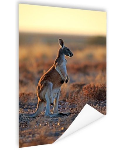 FotoCadeau.nl - Staande rode kangoeroe Poster 80x120 cm - Foto print op Poster (wanddecoratie)