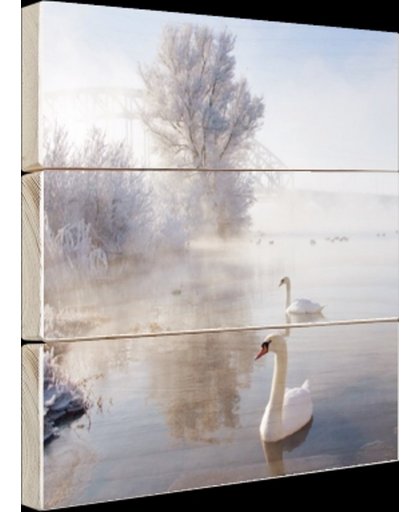FotoCadeau.nl - Zwanen in de winter Hout 100x100 cm - Foto print op Hout (Wanddecoratie)