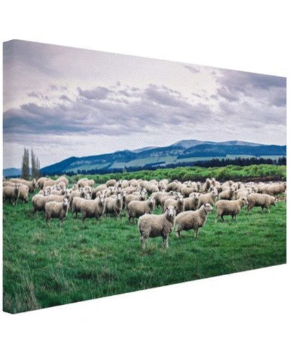 FotoCadeau.nl - Kudde schapen  Canvas 120x80 cm - Foto print op Canvas schilderij (Wanddecoratie)