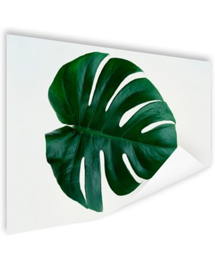 FotoCadeau.nl - Gatenplant blad botanisch Poster 120x80 cm - Foto print op Poster (wanddecoratie)