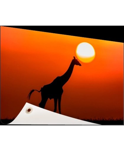 FotoCadeau.nl - Giraffe bij zonsondergang Tuinposter 60x40 cm - Foto op Tuinposter (tuin decoratie)