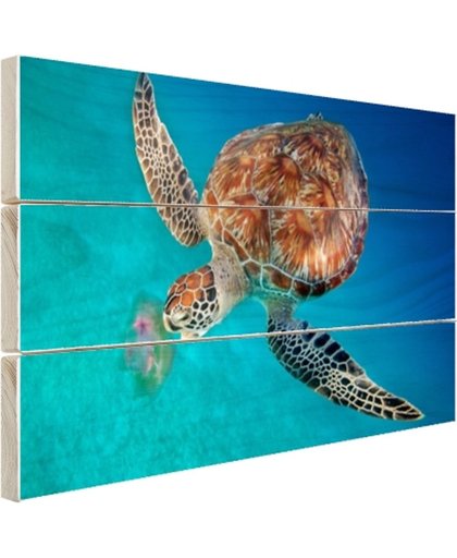 FotoCadeau.nl - Groene schildpad met kwal Hout 80x60 cm - Foto print op Hout (Wanddecoratie)