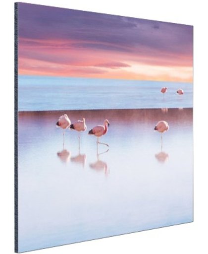 FotoCadeau.nl - Flamingos bij zonsondergang Aluminium 90x60 cm - Foto print op Aluminium (metaal wanddecoratie)